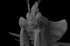 Devil-Flower-Mantis_Face_Detail